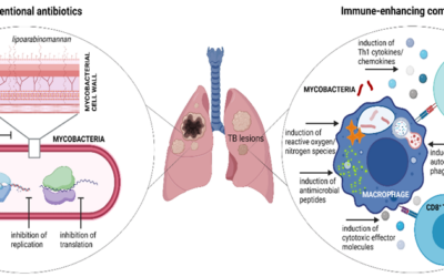 Tackling the Global Threat of Tuberculosis: Advancements in Immune-Enhancing Therapies